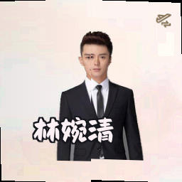 林婉清